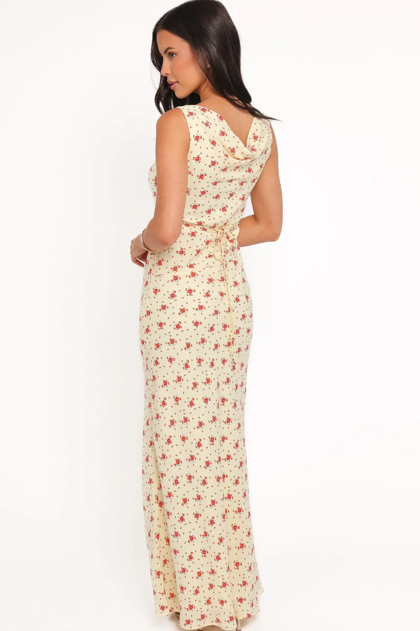 Alima Sleeveless Maxi Dress