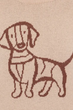 Amber Dachshund Sweater