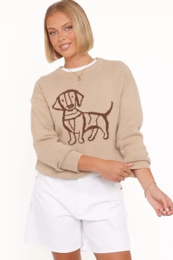 Amber Dachshund Sweater