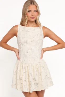 Briar Lace Mini Dress