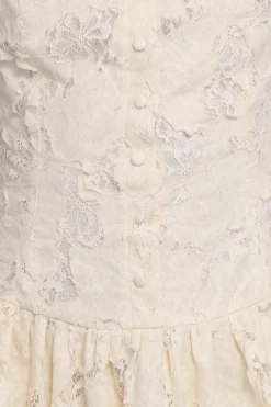 Briar Lace Mini Dress