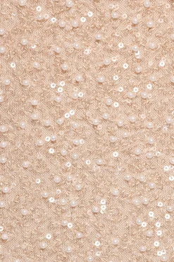 Briellia Sequin Midi Skirt