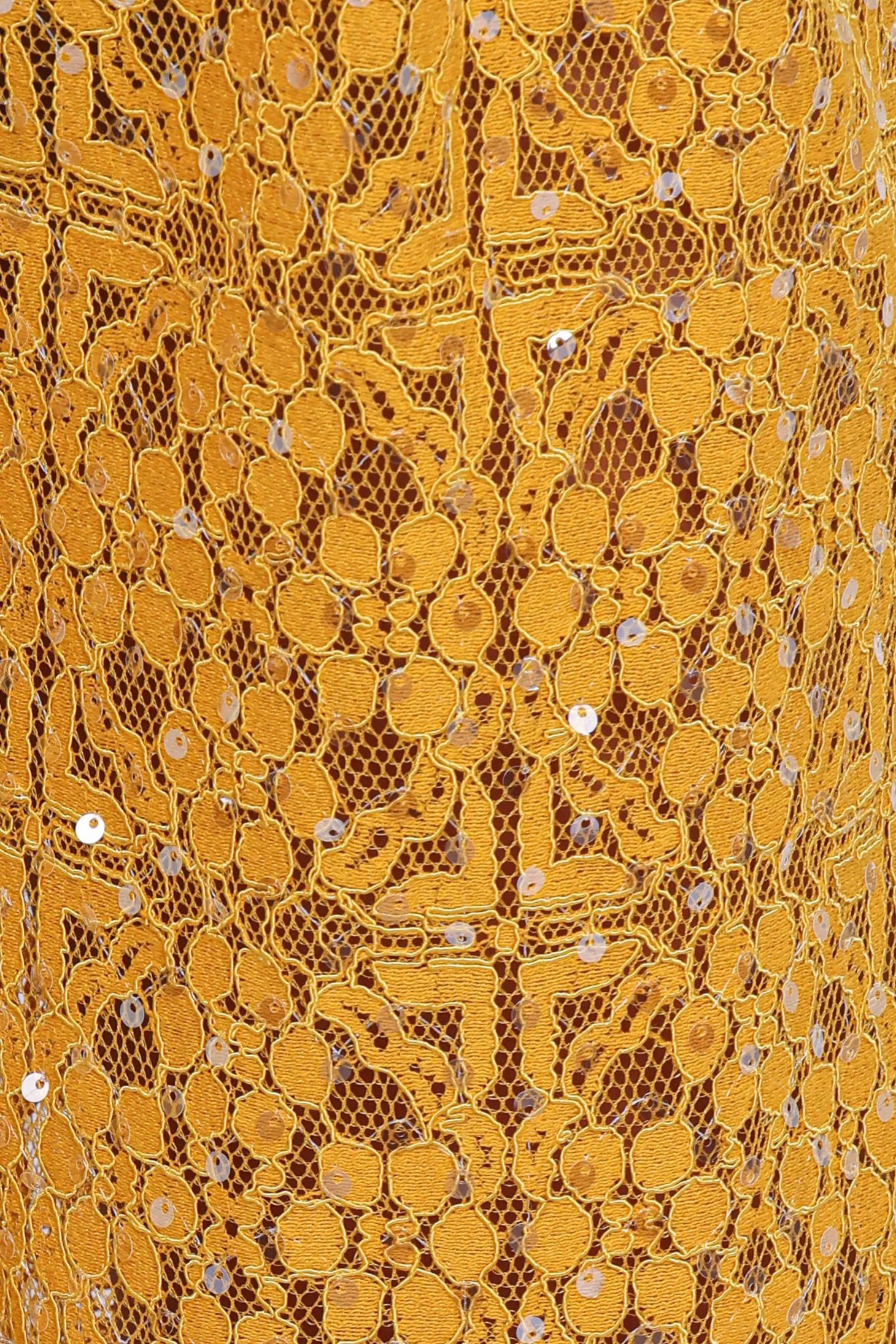 Jacinta Sequin Lace Pant