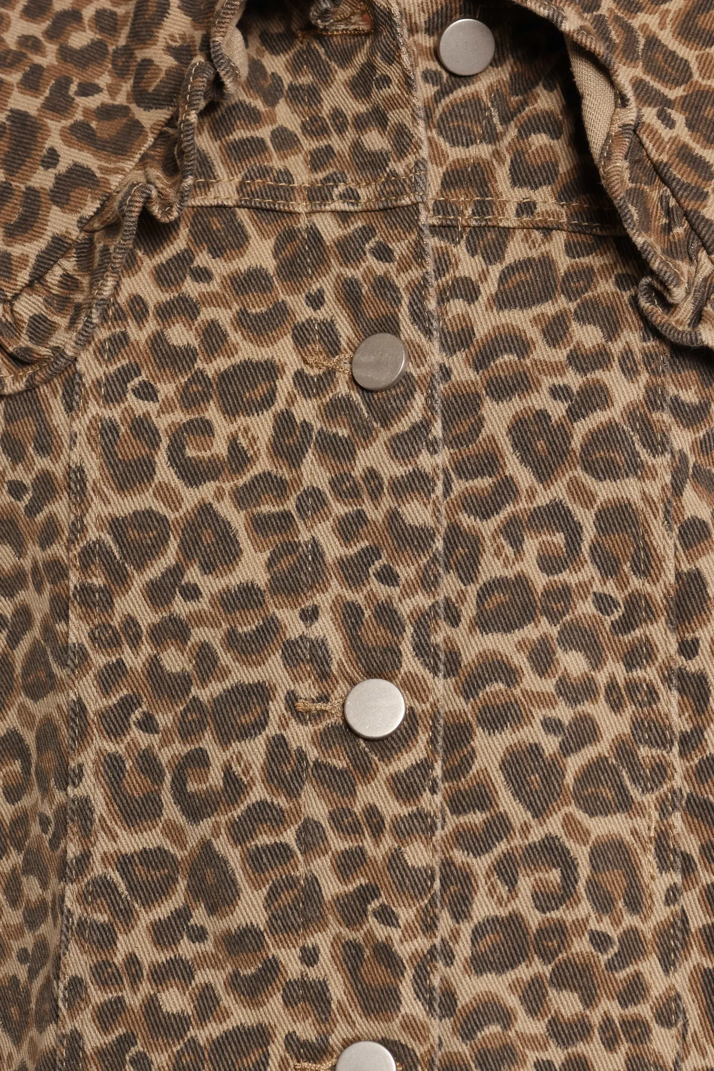 Jaelle Leopard Print Jacket