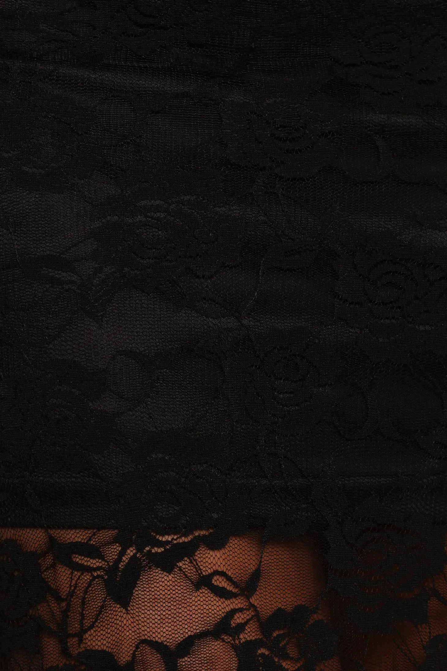 Laken Sheer Lace Maxi Skirt