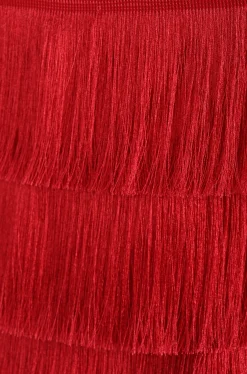 Rara Fringe Skirt