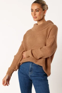 Rayne Turtleneck Knit Sweater