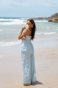 Robin Strapless Top