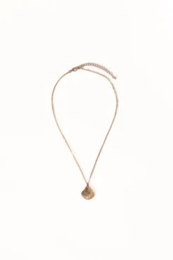 Shell Necklace