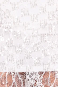 Yonder Sheer Panel Lace Maxi Skirt